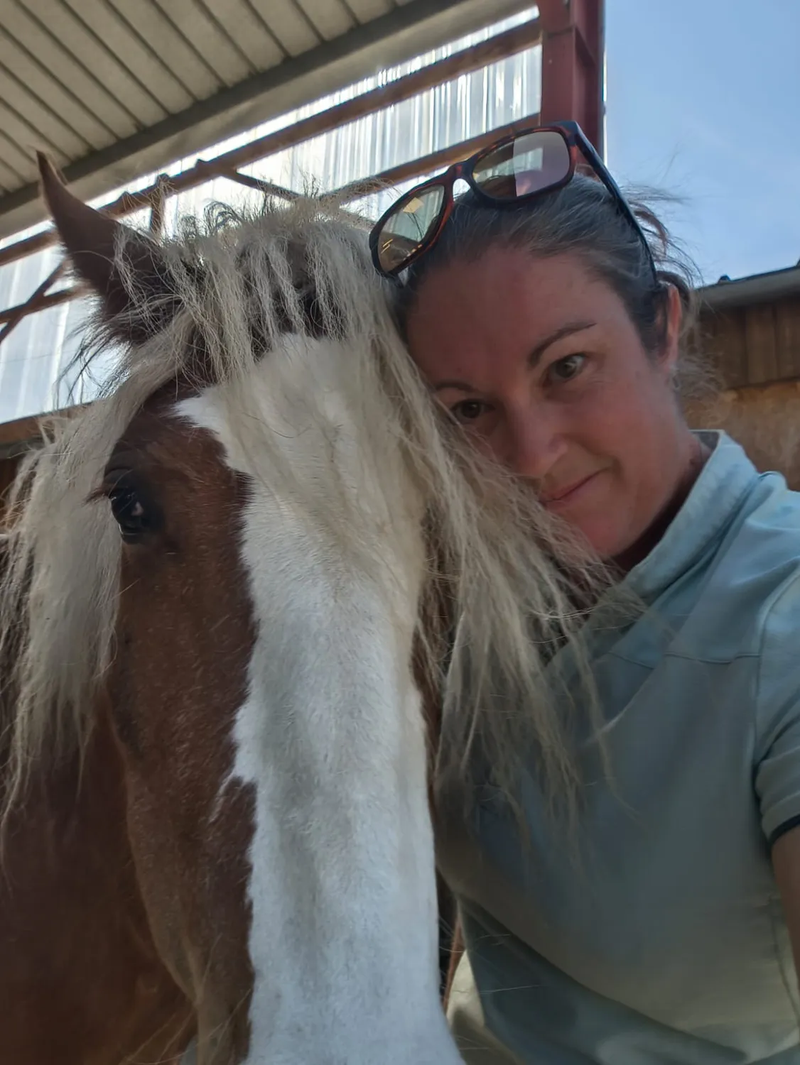 therapie cheval normandie