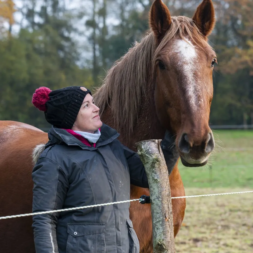 therapie cheval normandie