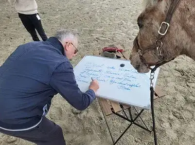 thérapie cheval à Pontorson - image 3