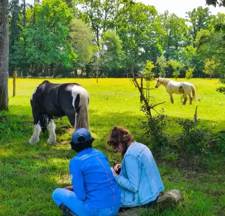 thérapie cheval Rennes-1