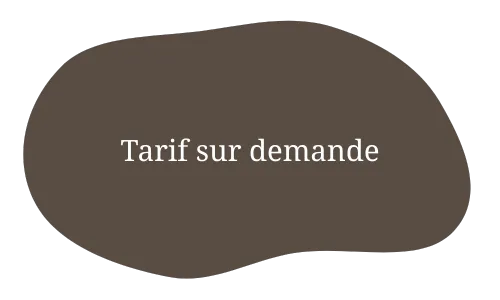 therapie cheval rennes